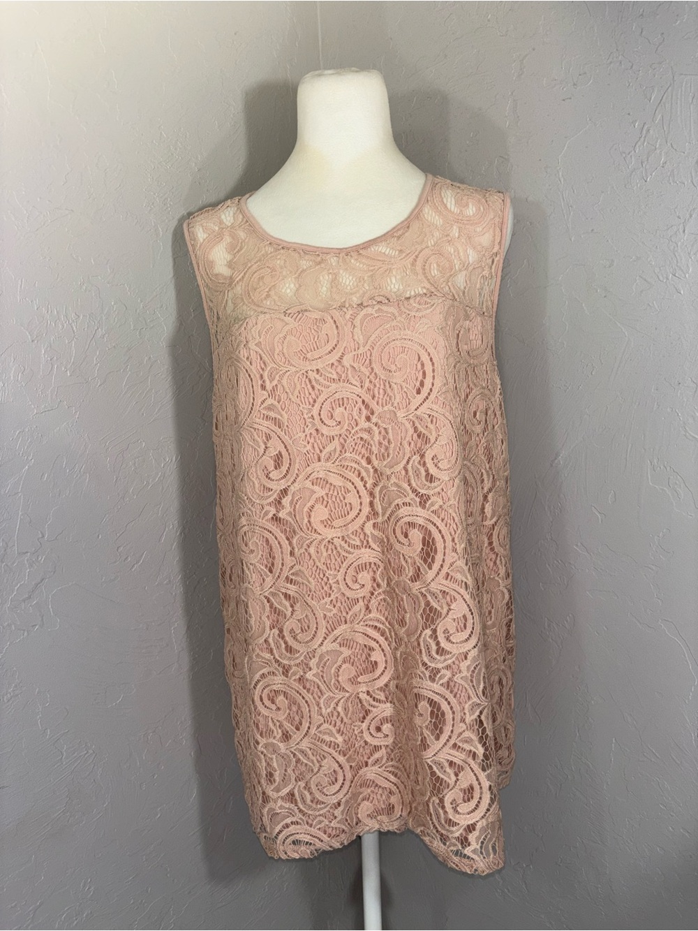 Adrianna Papell Blush Lace Sleeveless Shift Top